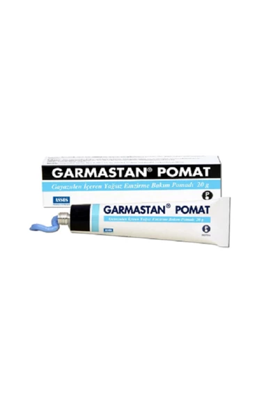GARMASTAN POMAD - 2