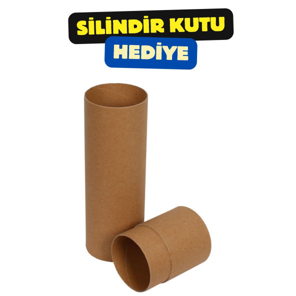 Anime Boyama Poster Seti (Silindir Kutu ve Afiş Hediyeli) - 6