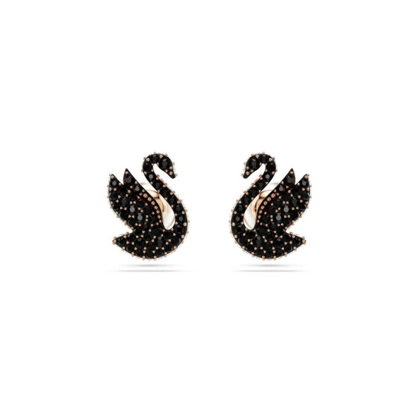 5684608 Swarovski Küpe Swan:Pe Prl Rc06/Ros