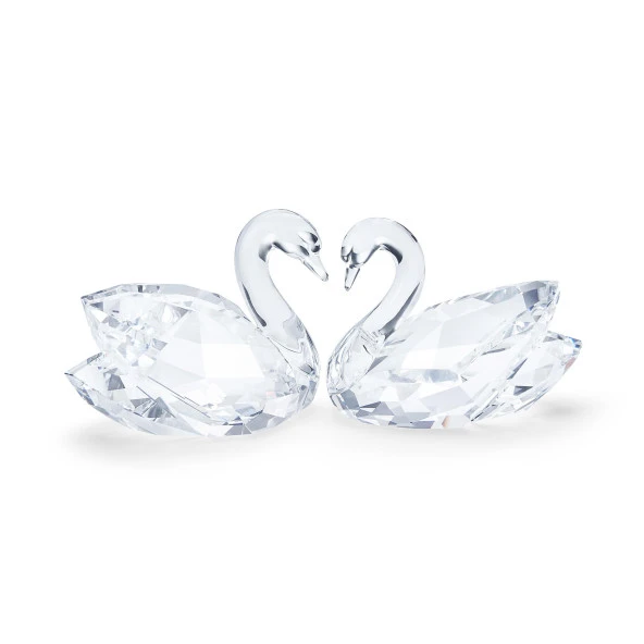 5493713 Swarovski Crystal Nature Swan Couple