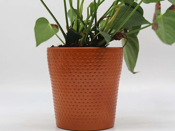 Tardan Seramik Saksı (Kırmızı Çamur)- 1 Adet - 2