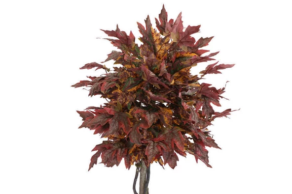 Yapay Ağaç Bodur Akçaağaç Ağacı 150cm Bordo-Sarı-Yeşil - 8