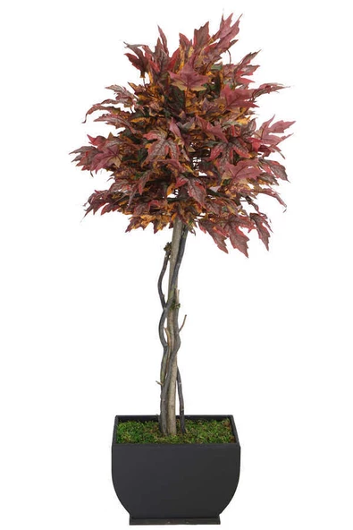 Yapay Ağaç Bodur Akçaağaç Ağacı 150cm Bordo-Sarı-Yeşil - 6