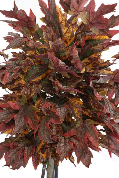 Yapay Ağaç Bodur Akçaağaç Ağacı 150cm Bordo-Sarı-Yeşil - 9