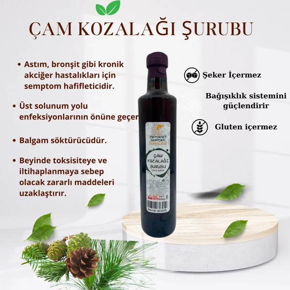 Çam Kozalağı Şurubu 650 gr MG