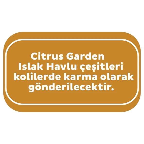 Sleepy Islak Havlu Mendil Meyve Çeşitleri 90 Yaprak (3 Lü Set) Plastik Kapaklı (Citrus Garden) - 4