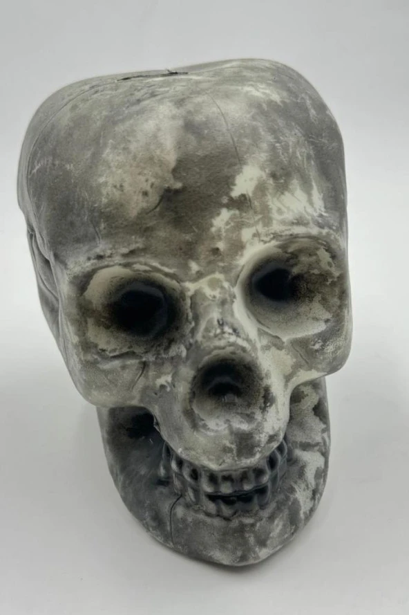 Beysüs Halloween Cadılar Bayramı İskelet Kuru Kafa Siyah 15 cm