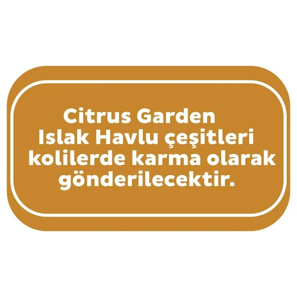 Sleepy Islak Havlu Mendil Meyve Çeşitleri 90 Yaprak (18 Li Set) Plastik Kapaklı (Citrus Garden) - 4