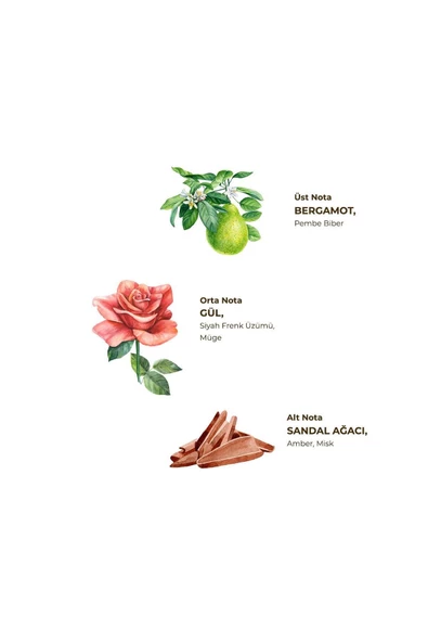 Eyüp Sabri Tuncer Manolya Çiçeği Kolonyası 400 ml - Pet Şişe - 4