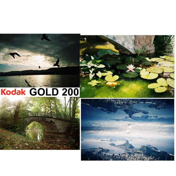 Fotoğraf Filmi Kodak Gold 200 Renkli analog film - 2