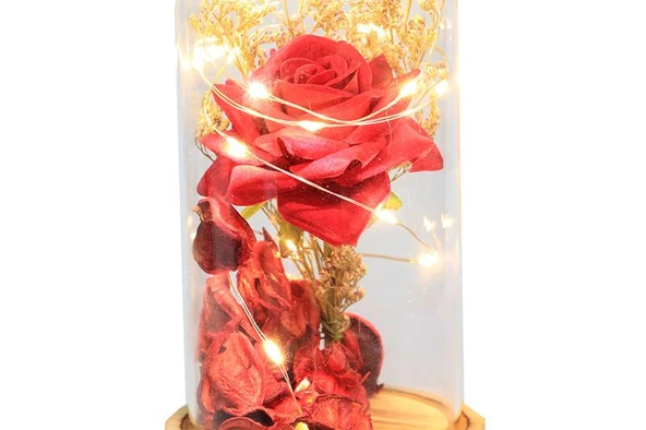Fanus Gül 19/10cm Led Işıklı Cam Fanuslu Hediyelik - 2