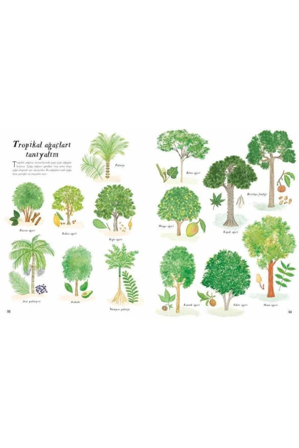 Hadi Ormana Gidelim - 4