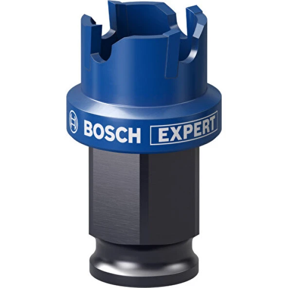 Bosch Expert Sheet Metal Delik Açma Testeresi 20 x 5 mm