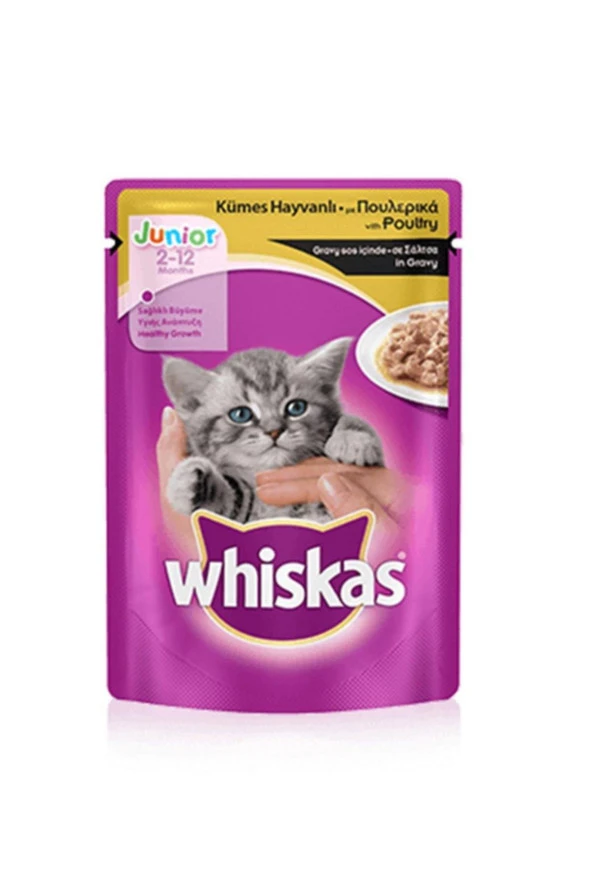 WHİSKAS Kümes Hayvanlı Pouch Poşet Yavru Kediler Için Tam Mama Konserve 85 Gr.