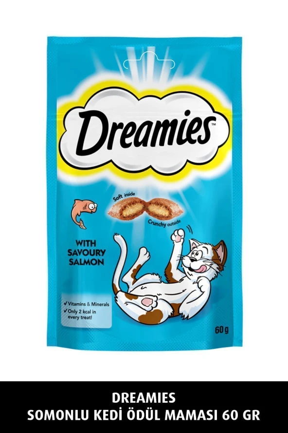 DREAMİES Somonlu Kedi Ödül Maması 60 gr