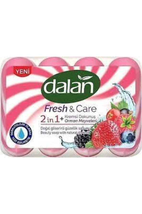 DALAN Sabun Fresh & Care 2 In 1 Kremsi Dokunuş Orman Meyveleri