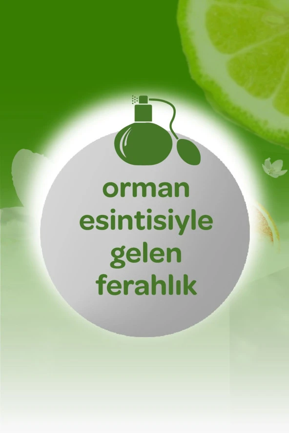 DALİN Kolonya Orman Esintisi 150 ml - 4