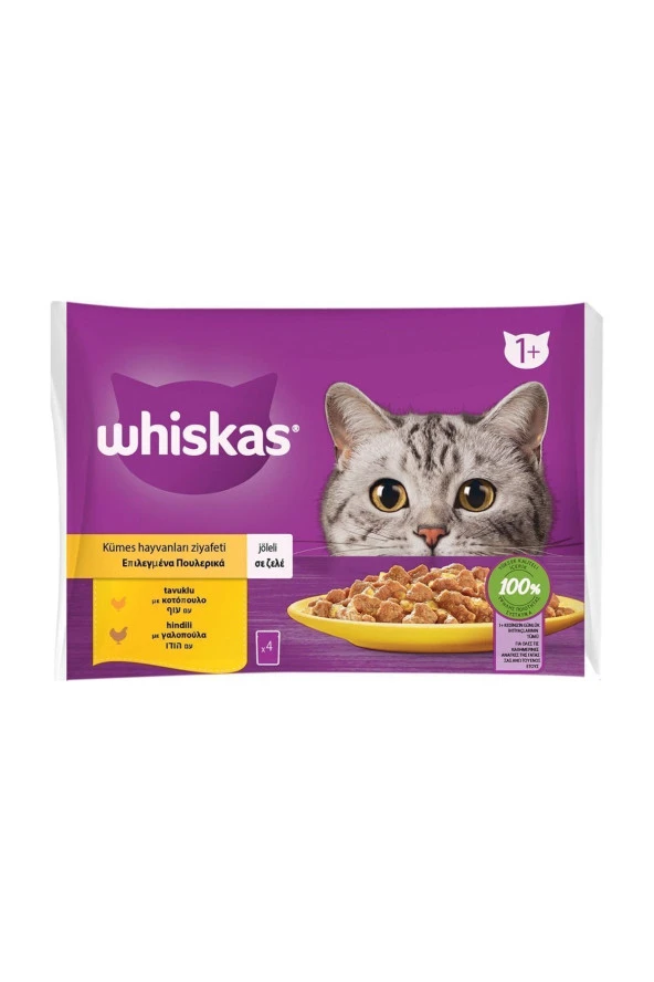 WHİSKAS Tavuklu Ve Hindili Yetişkin Kedi Yaş Maması 4x85 gr