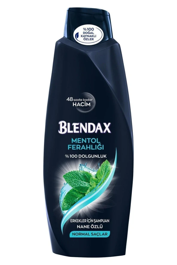 BLENDAX Erkekler Için Mentollü Şampuan 550 ml