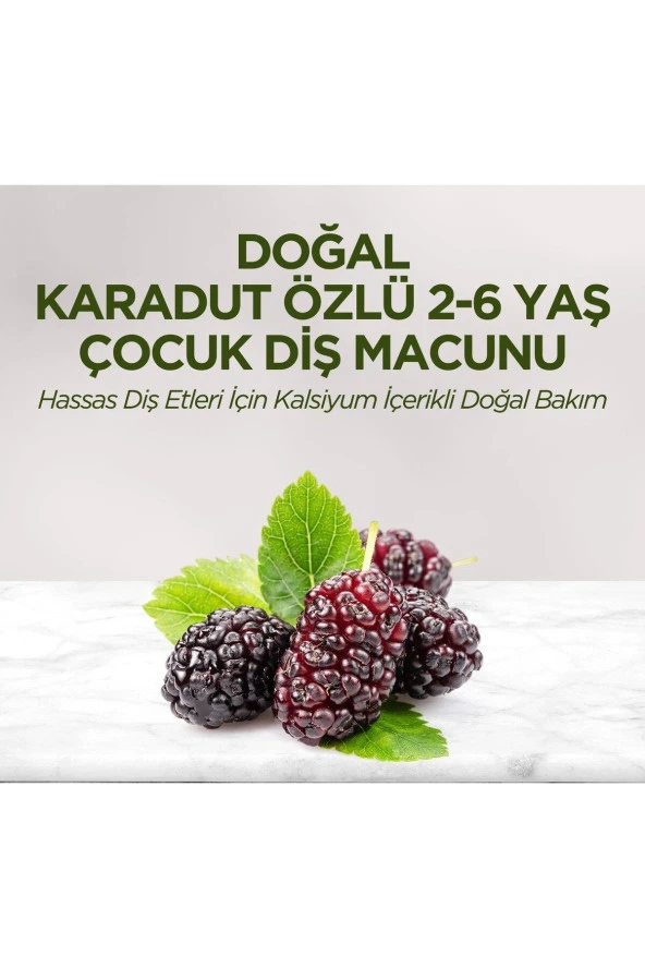 EYÜP SABRİ TUNCER Doğal Karadut Özlü 2-6 Yaş Çocuk Diş Macunu 60 Ml - 3