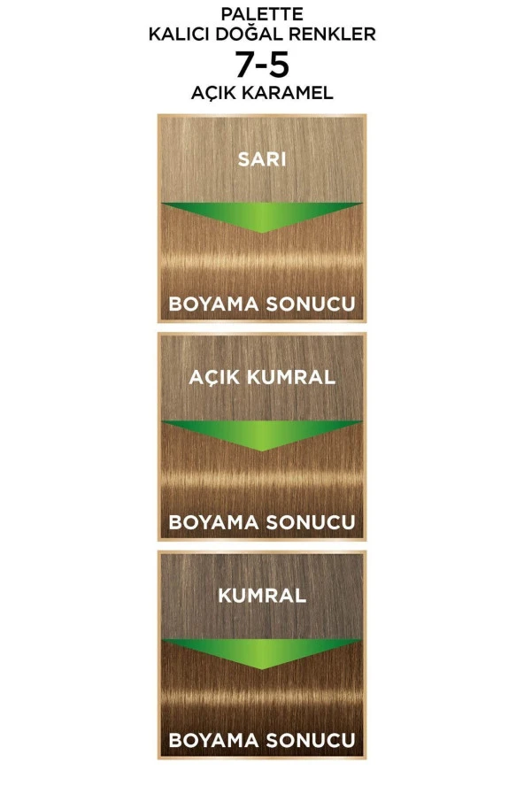 PALETTE Kalıcı Doğal Renkler 7-5 Açık Karamel Boya - 3