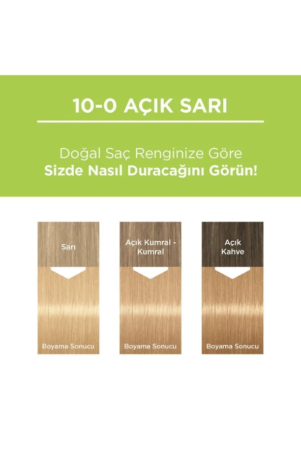 PALETTE Kalıcı Doğal Renkler 10-0 Açık Sarı - 3