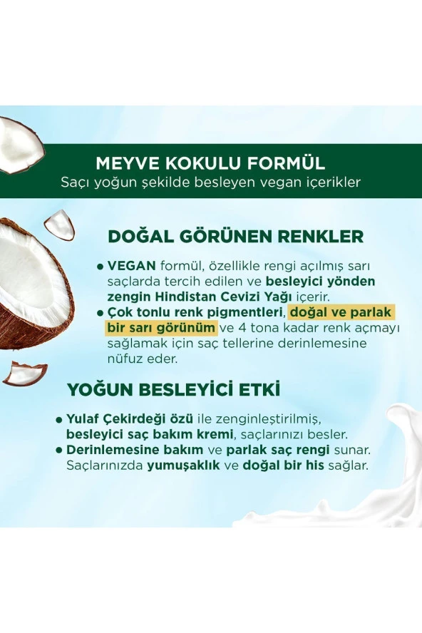 PALETTE Kalıcı Doğal Renkler 10-0 Açık Sarı - 4
