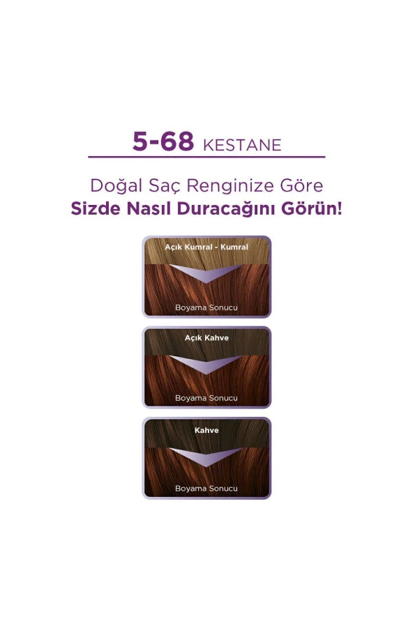 PALETTE Göz Alıcı Renkler Kestane Saç Boyası 5-68 Saç Boyası - Resim 2