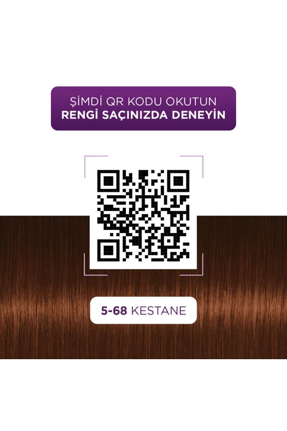 PALETTE Göz Alıcı Renkler Kestane Saç Boyası 5-68 Saç Boyası - Resim 3