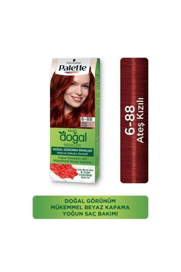 PALETTE Kalıcı Doğal Renkler Saç Boyası 6-88 Ateş Kızılı