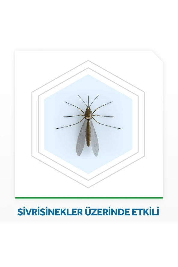 RAİD Elektro Mat Kokusuz Tablet, 20'li (SİVRİSİNEKLERE KARŞI) - 3