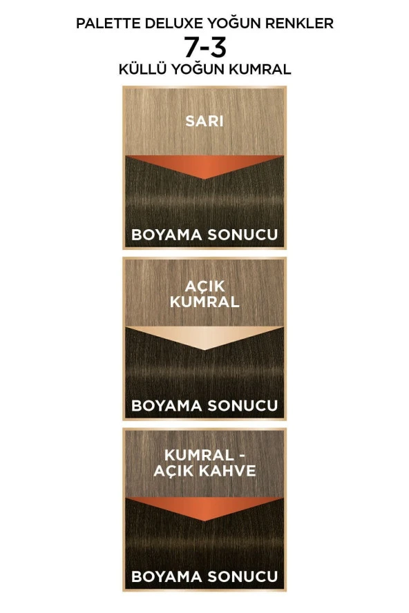 PALETTE Deluxe Yoğun Renkler 7-3 Küllü Yoğun Kumral - Resim 5