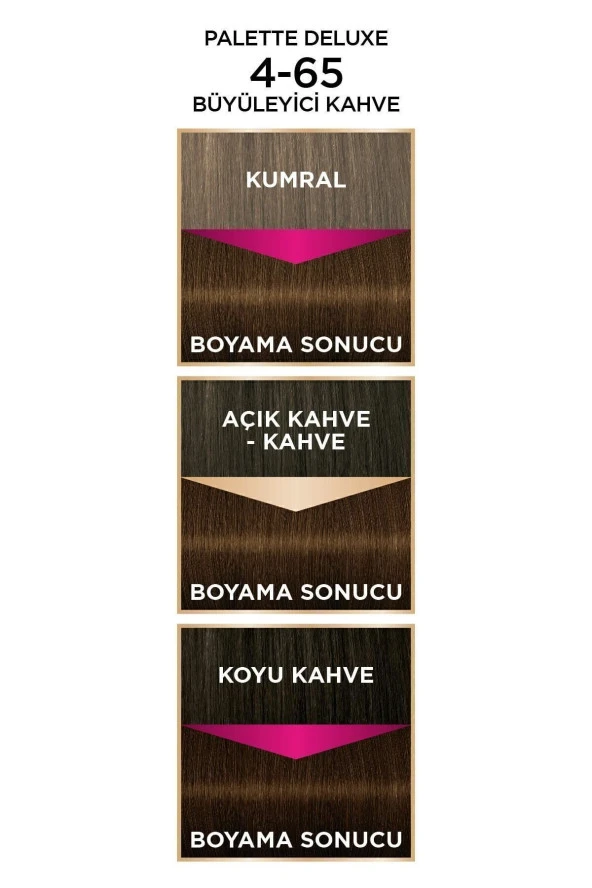 PALETTE Deluxe 4-65 Büyüleyici Kahve - 5