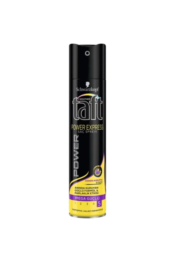 TAFT Power Express Sprey 250 ml