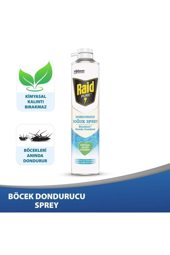 RAİD Pure Böcek Dondurucu Sprey 350 ml