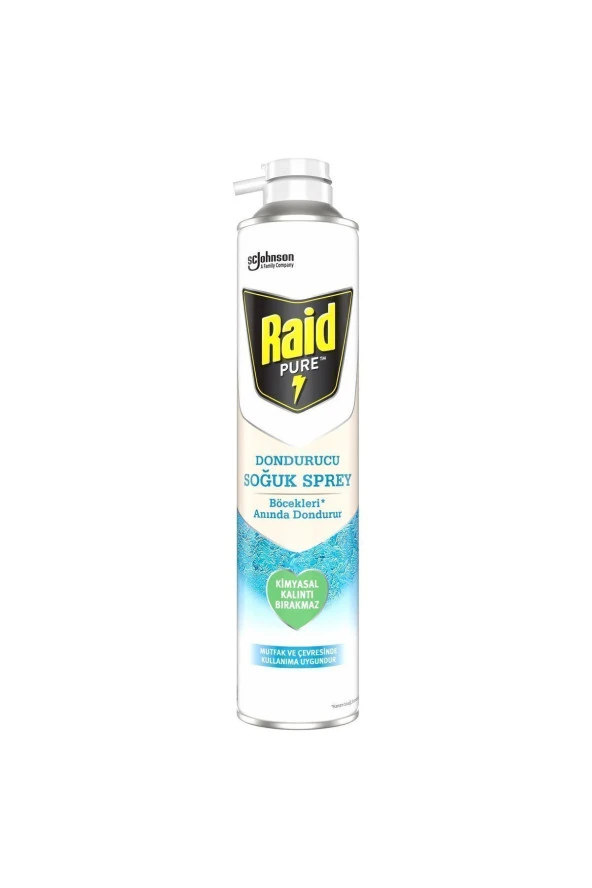 RAİD Pure Böcek Dondurucu Sprey 350 ml - 2