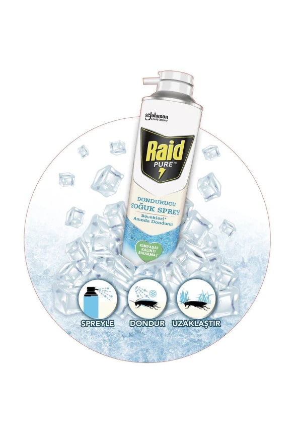 RAİD Pure Böcek Dondurucu Sprey 350 ml - 4