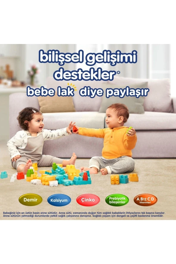 BEBELAC Bebek Devam Sütü No4 250gr - 5