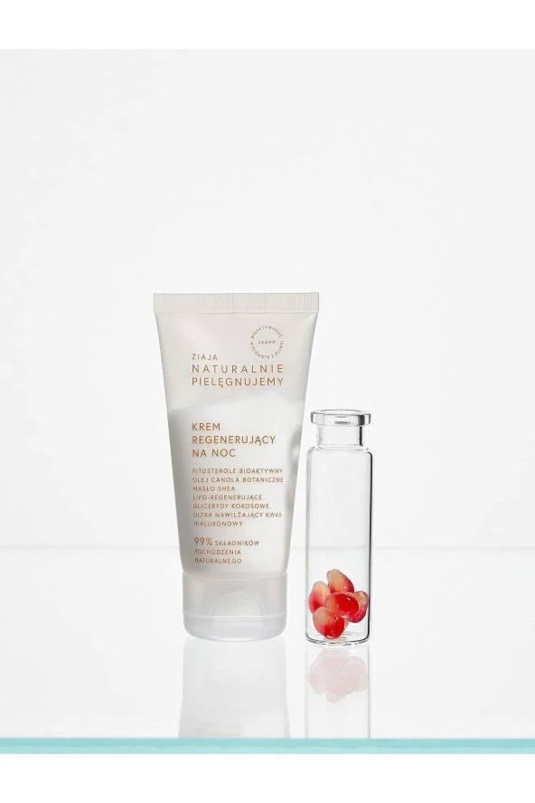 ZİAJA Natural Care Canlandırıcı Gece Kremi 50ml