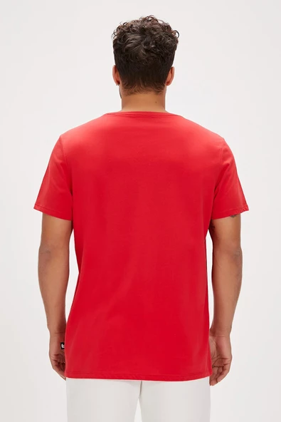 BAD BEAR ERKEK FELT T-SHIRT 24.01.07.036 - 10