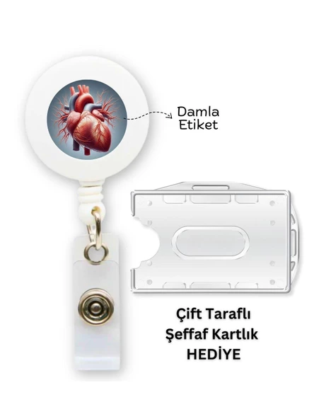 Kalp Anatomisi Damla Etiket Yoyo Yaka Kartlığı Yatay Dikey Kart Koruyucu