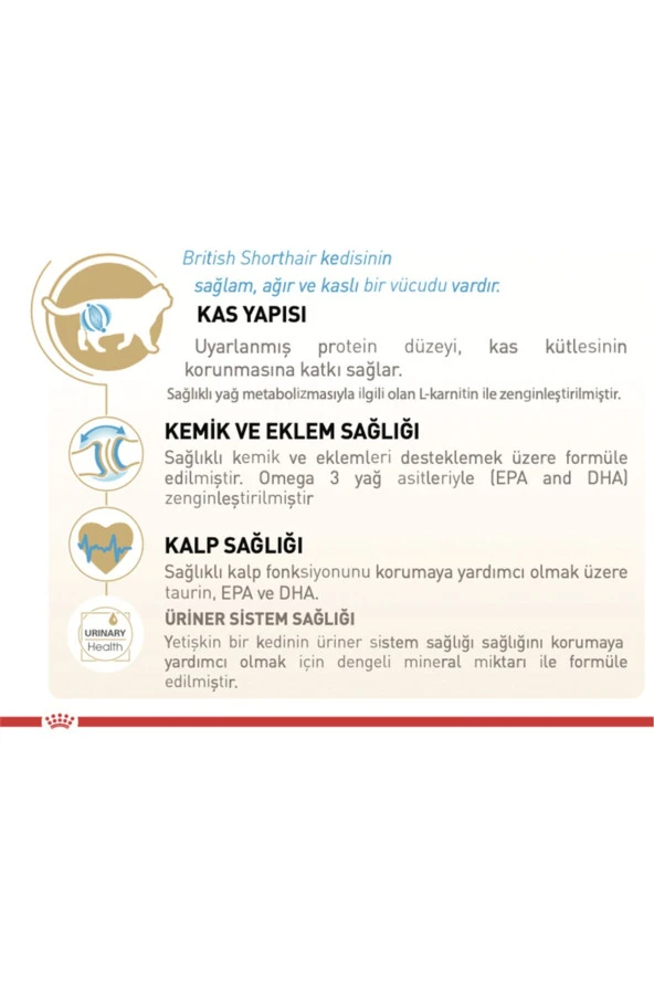 Royal Canin Cat Fbn British Shorthair Kedi Maması 10 Kg - 2