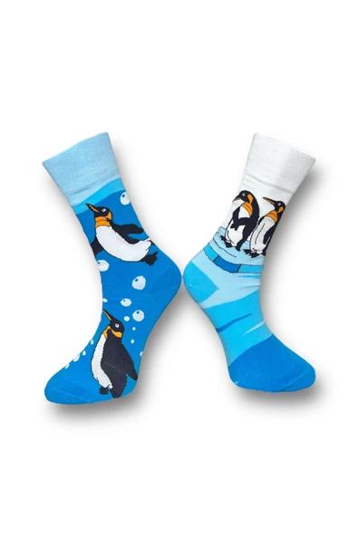 Me-vo Tekli Mavi Renkli Bay/Bayan Unisex Esnek Nem Alabilen Pamuklu Penguen Desenli Soket Çorap - Resim 2