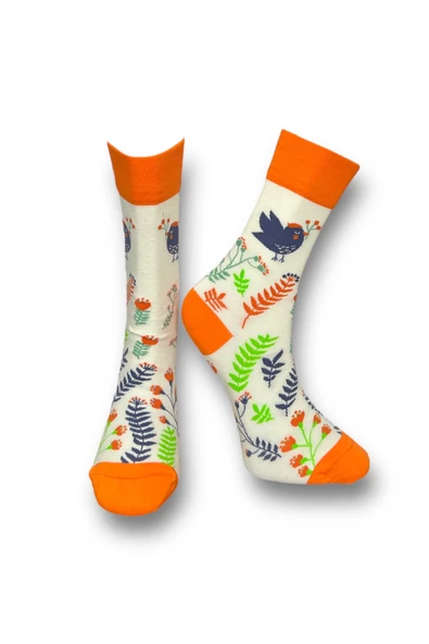 Me-vo  2'li Çok Renkli Bay/Bayan Unisex Esnek Nem Alabilen Pamuklu Kuş Desenli Soket Çoraplar - Resim 2