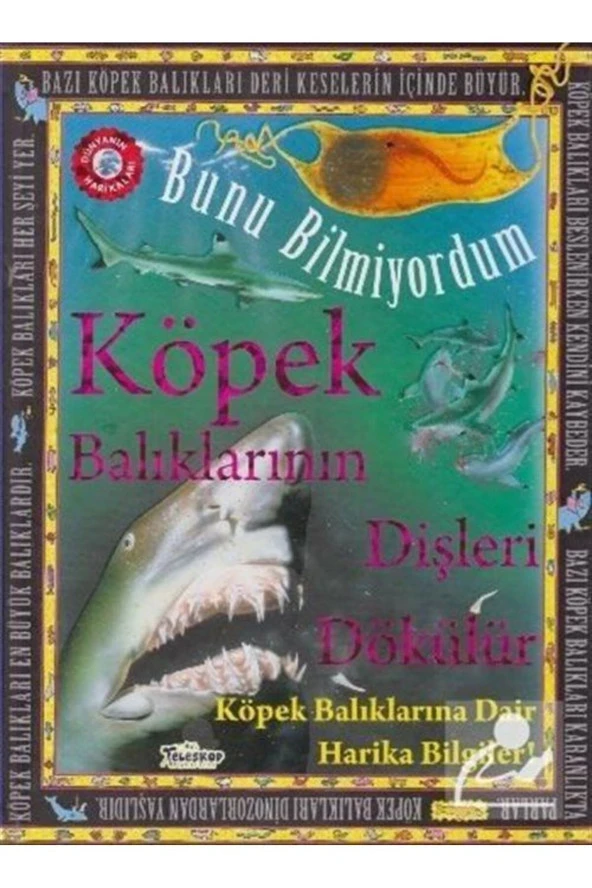 Köpek Balıklarının Dişleri Dökülür - Bunu Bilmiyordum