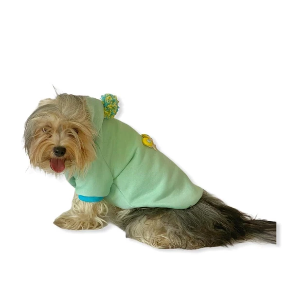 Su Yeşili Kelebek Kapşonlu Sweat by Kemique Köpek Kazağı - 4