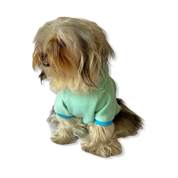 Su Yeşili Kelebek Kapşonlu Sweat by Kemique Köpek Kazağı - 3