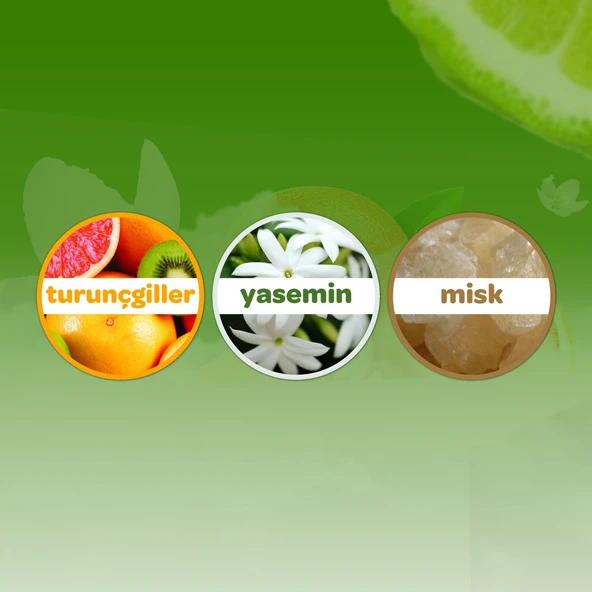 Dalin Bebek Kolonyası 150ML Orman Esintisi (Turunçgiller-Yasemin-Misk Kokulu) - 3