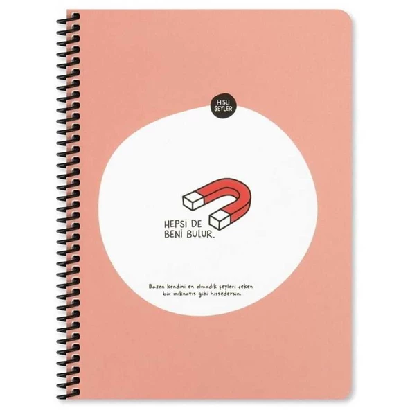 Keskin Color Sticker Defter Hisli Şeyler 16,5x22,5 80 Yaprak Kareli Stickerli Defter Hepsi De Beni Bulur