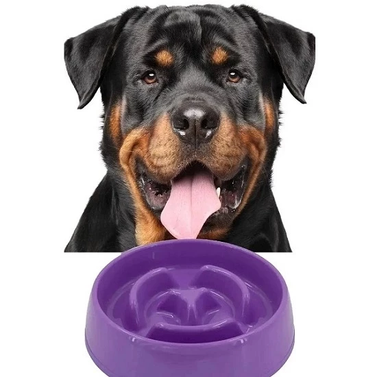 Yavaş Yeme Kedi Köpek Mama Kabı 775 ml - 3